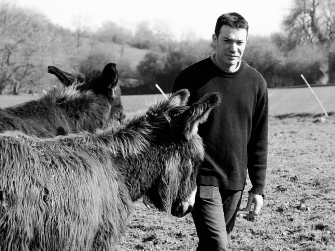 Une-Fee-dans-l-Asinerie---Gaillefontaine---Une-Fee-dans-l-Asinerie-2