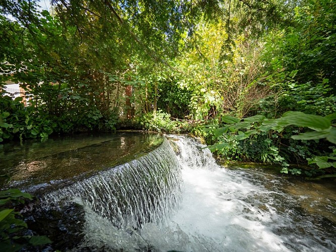 CANY-CIRCUIT-65©auger