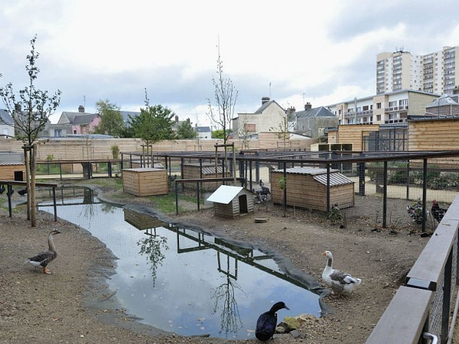 Jardin-des-Oiseaux---Le-Petit-Quevilly-----Bruno-Maurey 800x600