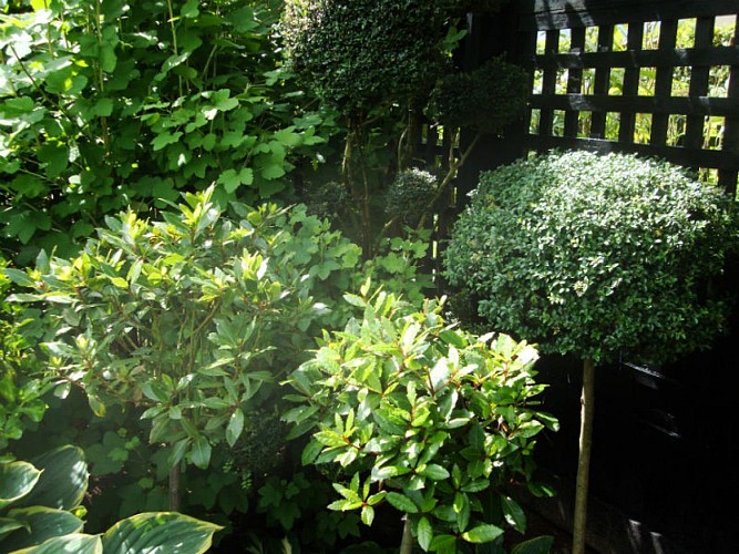 Ton-Sur-Ton-4 800x600