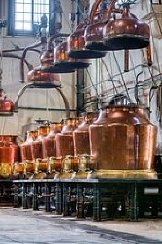 distillerie3 © Vincent Rustuel – Palais Bénédictine