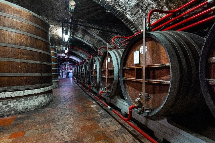 distillerie2 © Vincent Rustuel – Palais Bénédictine