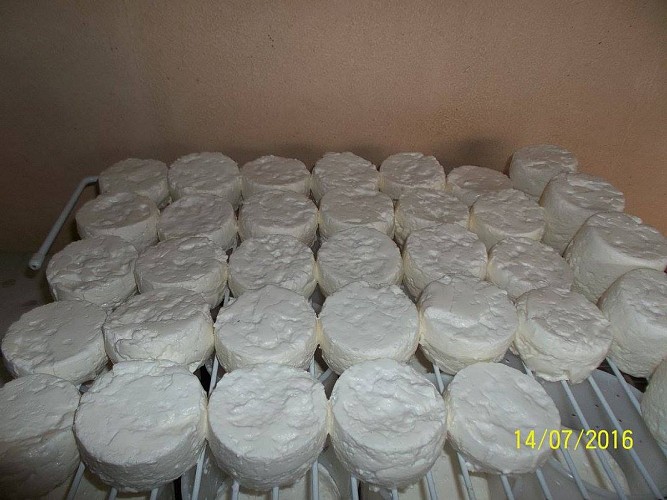 Chevrerie des fosses 3 ©chevrerie des fosses