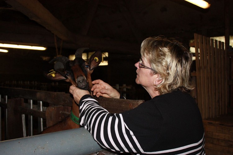 Nathalie-Degenetais-Bolleville-Tourisme-Caux-Seine--12-