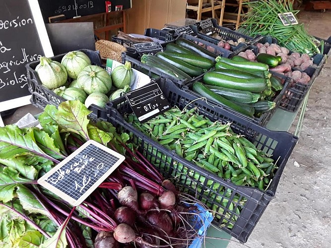 Saint-Vaast-du-Val---Jourdain---ferme-du-clos-masure-du-Petit-Caux-boutique