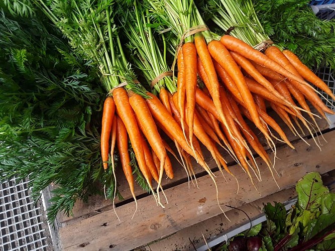 Les carottes de la ferme