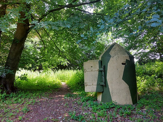 BASE-V1-Motteville-3