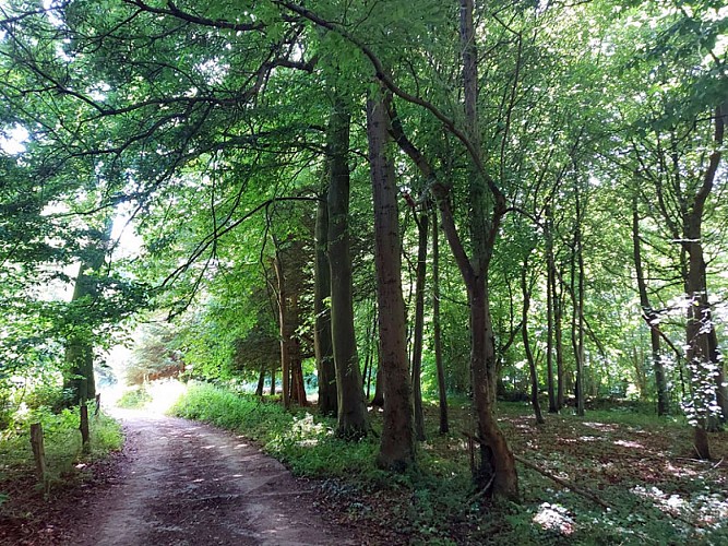 BASE-V1-Motteville-2