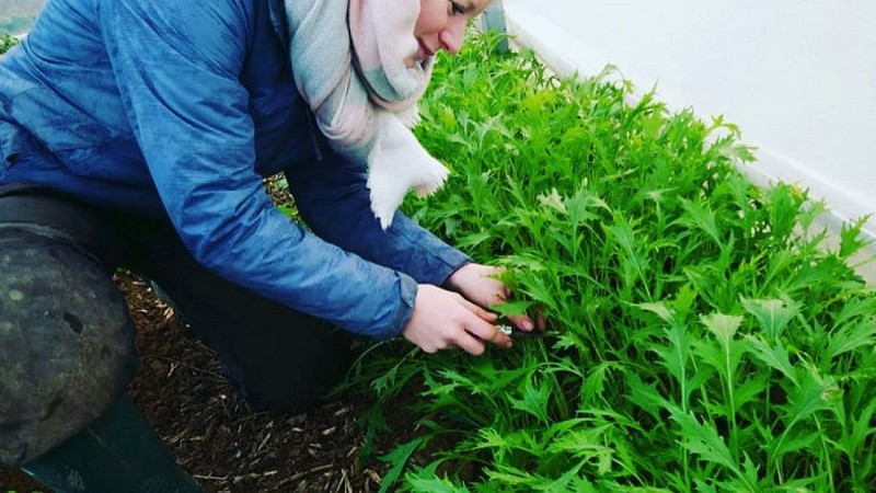 Les Jardins de Marcelle  