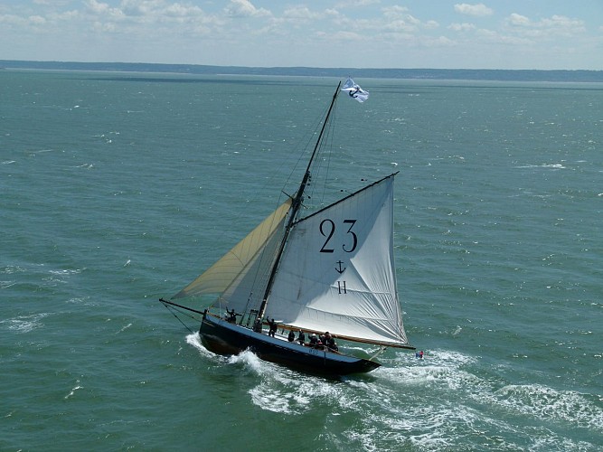 Marie-Fernand - ©Association Hirondelle de la Manche (2)