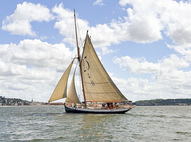 Marie-Fernand - ©Association Hirondelle de la Manche (1)