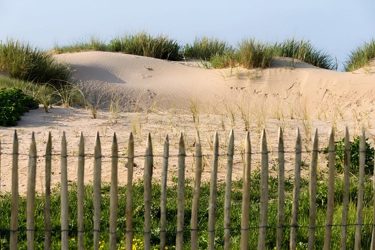 Les dunes d'Omaha Beah à Saint-Laurent-sur-mer. / © Thierry Houyel