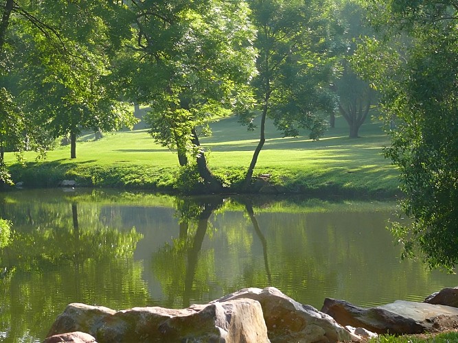 Les marais de l'Orne et de la Noë