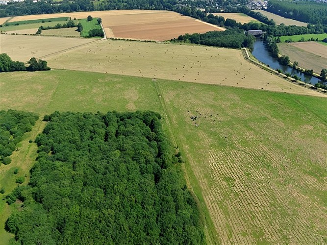 Les marais de l'Orne et de la Noë