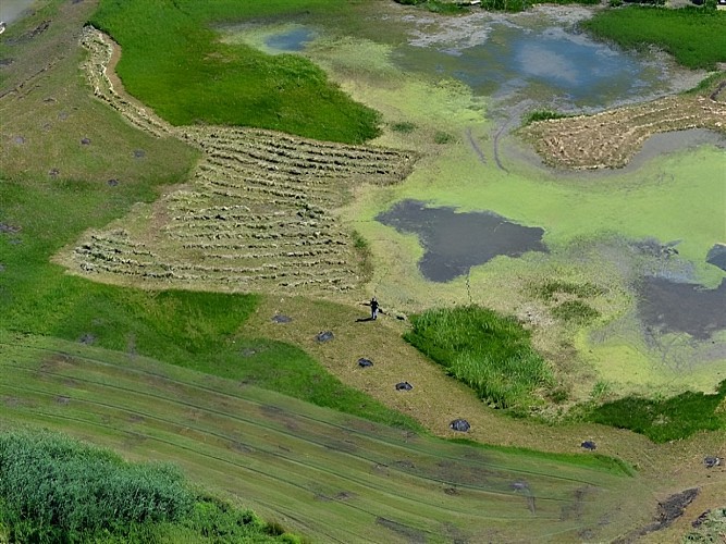 Les marais de l'Orne et de la Noë
