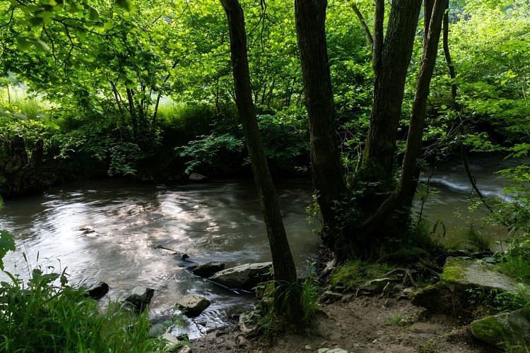 L'Odon traversant le bois des Amis de Jean Bosco. / © Thierry Houyel