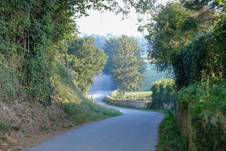 2020_OT_PaysdeVire@L-MACH_Villers-Bocage-57-Bois Ecanet