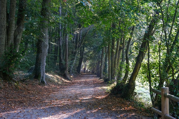 2020_OT_PaysdeVire@L-MACH_Villers-Bocage-70-Bois Ecanet