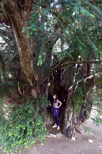 2022-OTPV_Reportage-photo-19-05-32