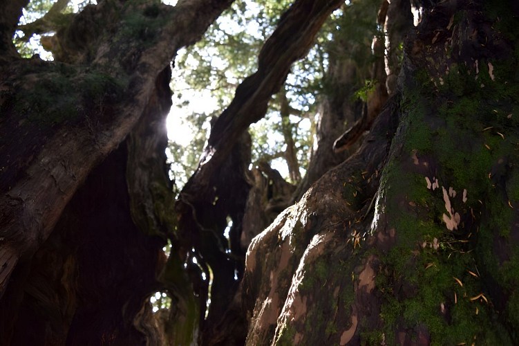 2022-OTPV_Reportage-photo-19-05-41