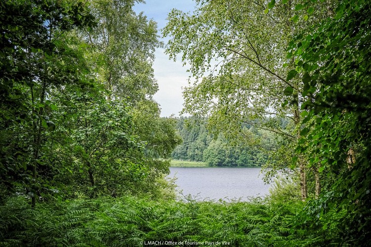 20230609_OT_Pays_de_Vire_Lac_du_Gast_Crédit_Lucie_MACH-20-WEB-C