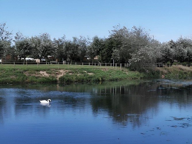 PARC-DE-L-EDIT-COURSEULLES-SUR-MER-CREDIT-NATHALIE-PAPOUIN