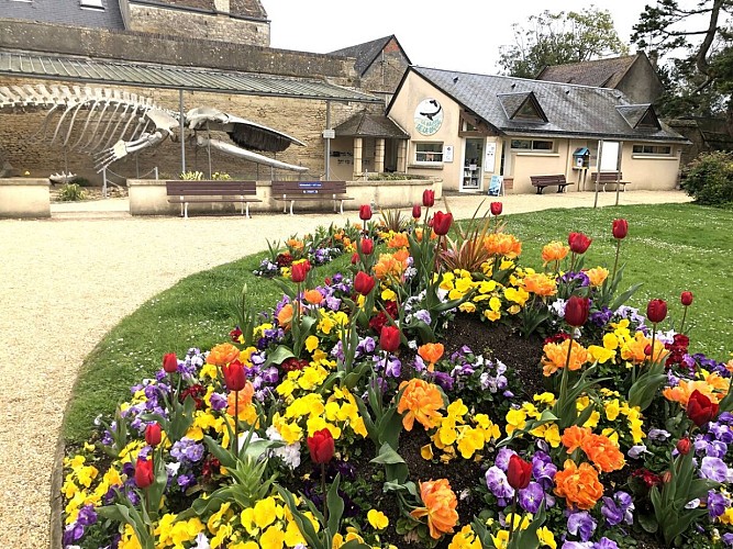 parc-de-la-baleine-office-de-tourisme-luc-sur-mer-credit-mathilde-lelandais (4)