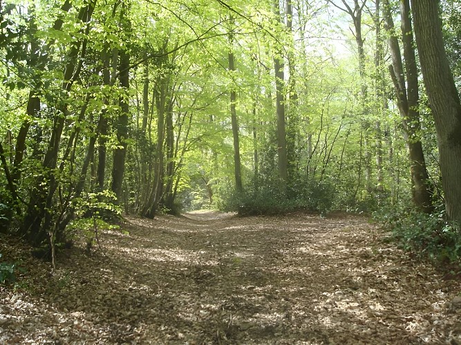 St Germain le Vasson