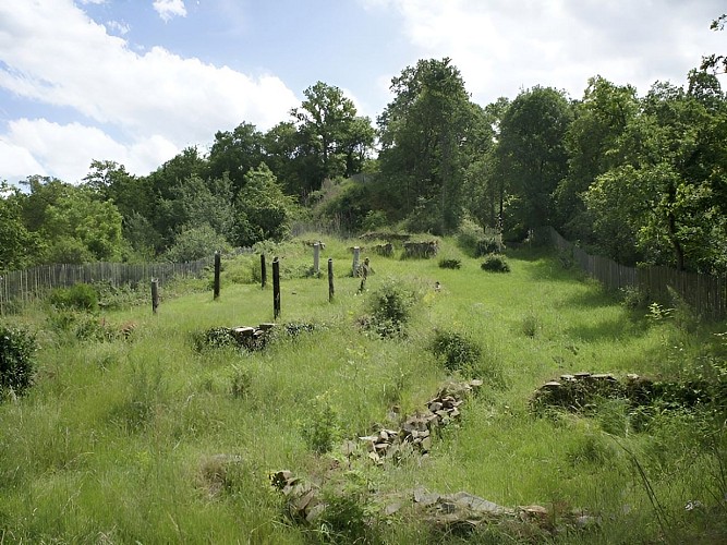 Le cimetière des petits animaux domestiques – Forêt de Grimbosq