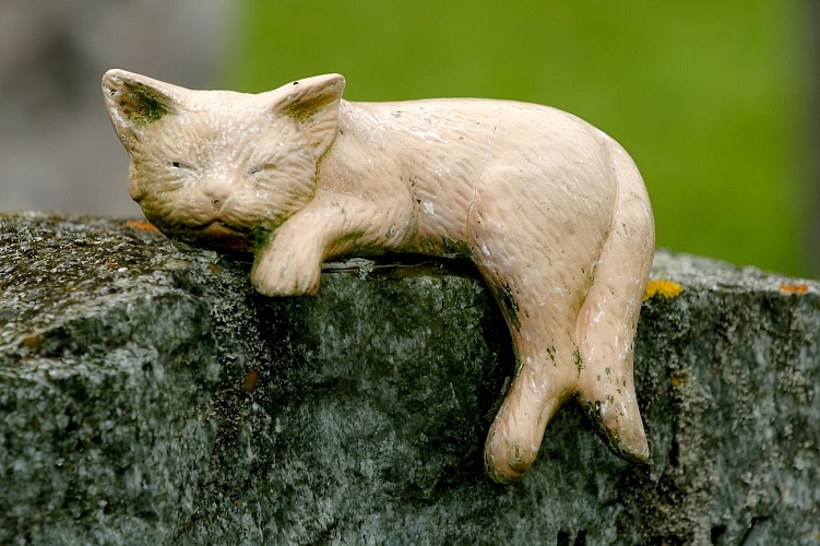 Le cimetière des petits animaux domestiques – Forêt de Grimbosq