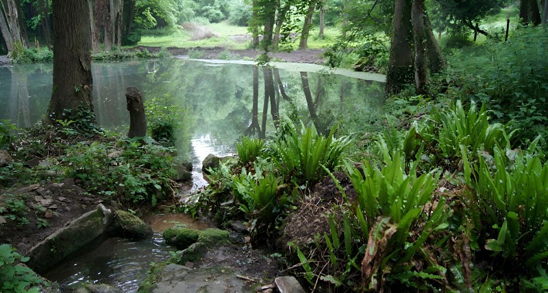 inaug-parc-vivier---feugerolles-bully-2