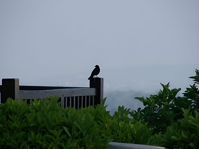 w-1600-h-1600-zc-5-nos-plus-beaux-panoramas-5-1536934329