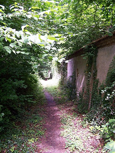 Bois du Défends - Louviers © OT Seine Eure