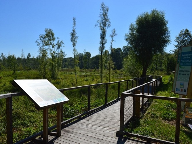 zone humide des pâtures (2)