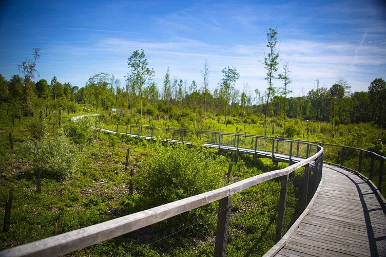 Balade nature au Vaudreuil © Département de l'Eure, S. Bachelot