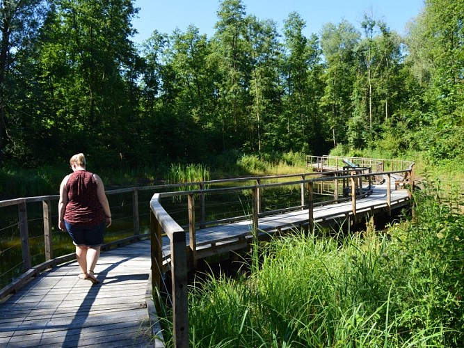 zone humide des pâtures (1)