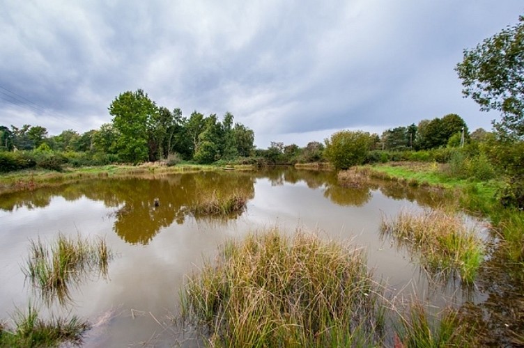 maredesaintlubinLOU©normandie-photo.com
