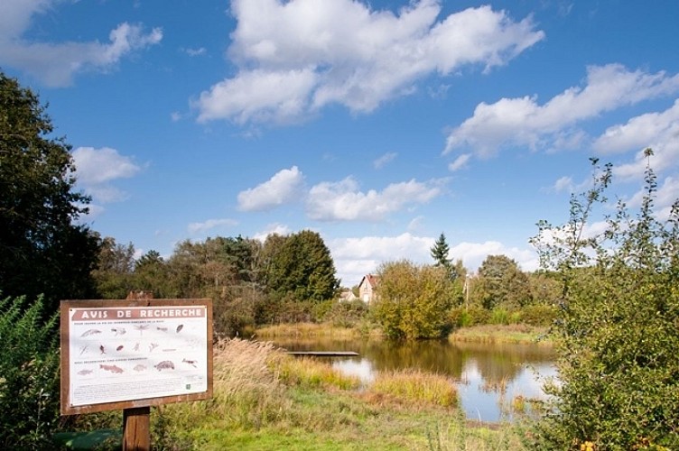 mareSaintLubinLOU2©normandie-photo.com