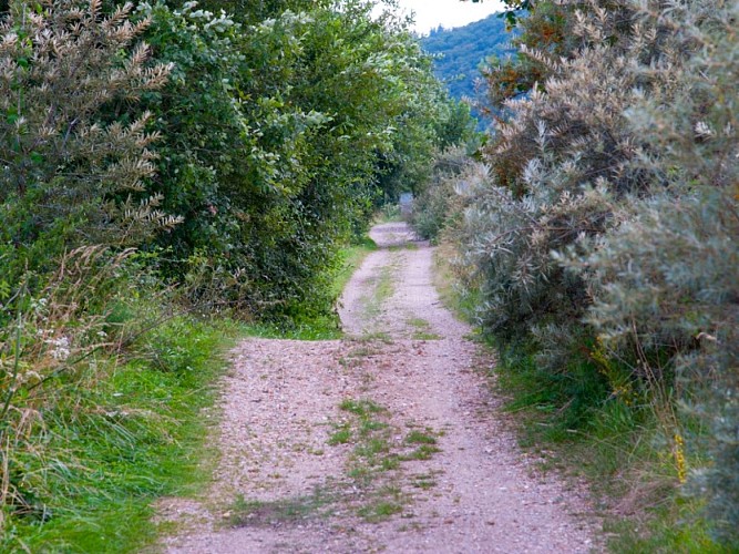 randoPinterville5©normandie-photo.com