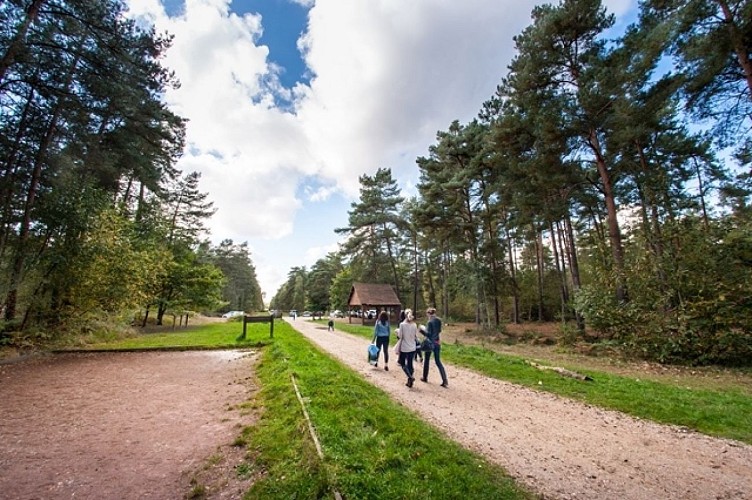 foretdebordlouviers7©normandie-photo.com