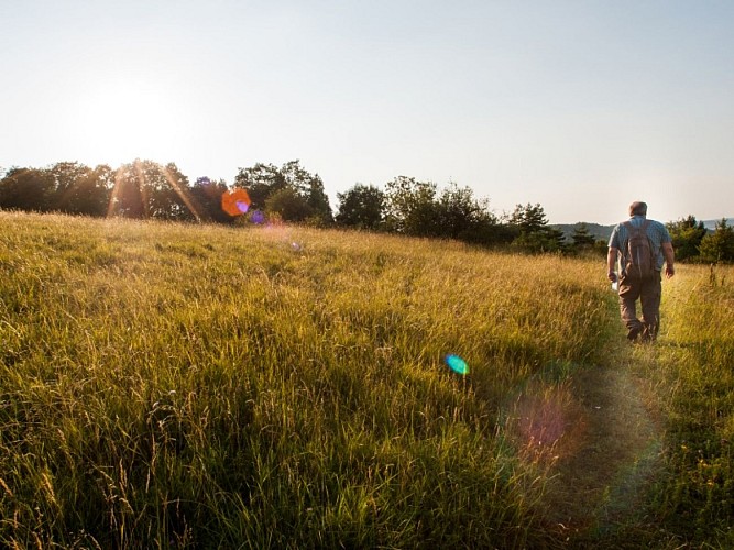 randoVironvay3©normandie-photo.com