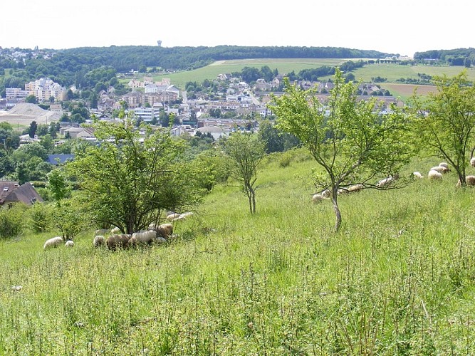 Coteaux-Evreux-Netreville_CENHN_redim