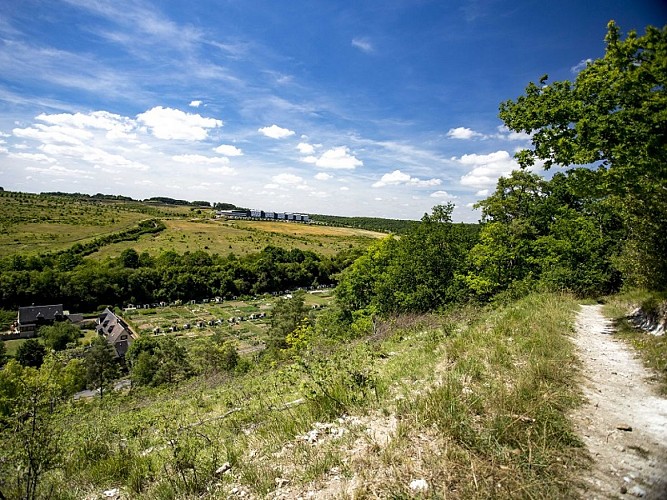Coteaux_Evreux_S.Bachelot_CD27_redim (2)