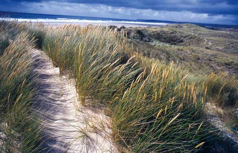 Dunes d'Hatainville - Les Moitiers d'Allonne