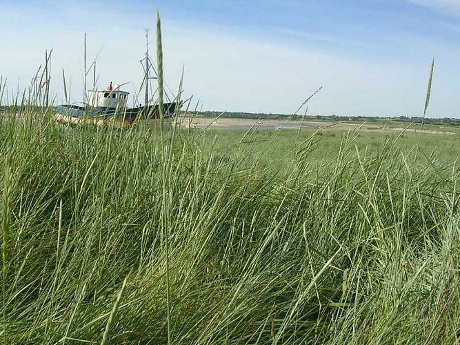 regneville-sur-mer-havre-de-regneville (3)