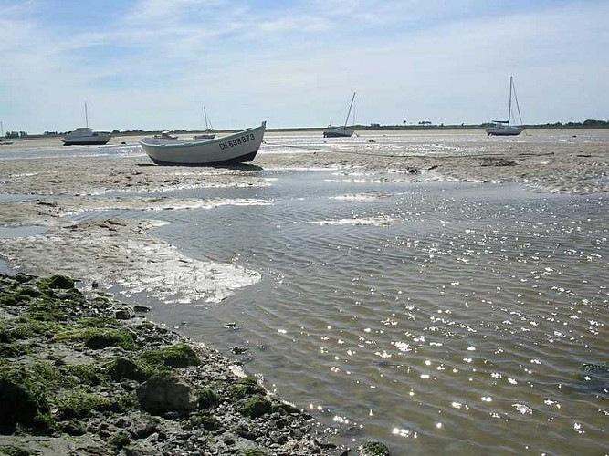 regneville-sur-mer-havre-de-regneville (1)