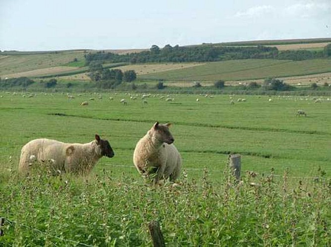 regneville-sur-mer-havre-de-regneville (2)
