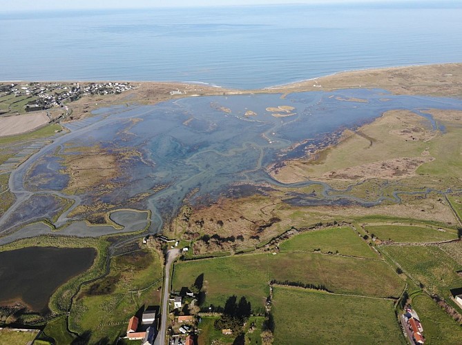 Havre-geffosses-fédération-chasse-manche