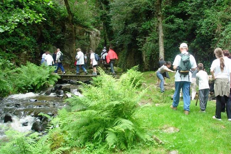 2013_Mortain_Petite-Cascade-9