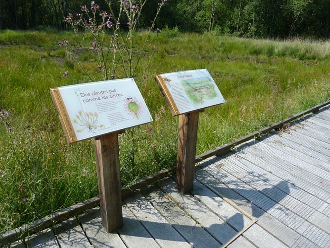 Lande Mouton_St Clément Rancoudray_panneaux©CDT Manche